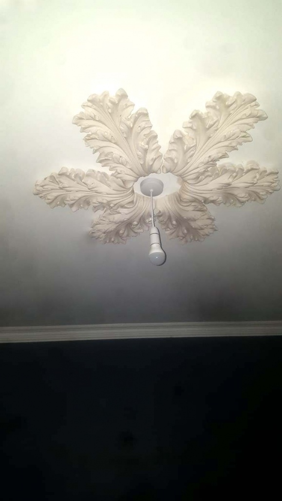 Ceiling Rose And Coving Installation Jdl